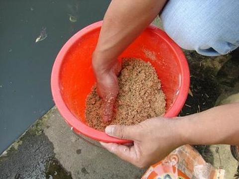 初夏钓鲫鱼用什么饵料好?分享一款自制饵料