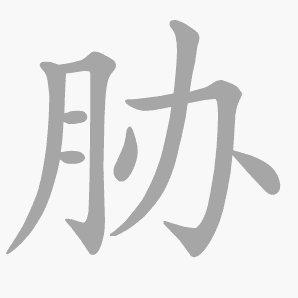 胁是什么意思|胁怎么读_笔顺_拼音_笔画_新华字典