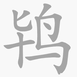 鸨是什么意思|鸨怎么读_笔顺_拼音_笔画_新华字典