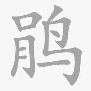 鹃是什么意思|鹃怎么读_笔顺_拼音_笔画_新华字典