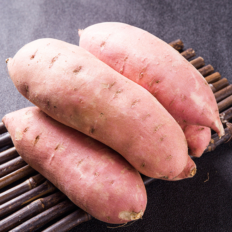 现挖5斤/9斤河北雄安龙九蜜薯沙地红薯番薯软甜地瓜山芋