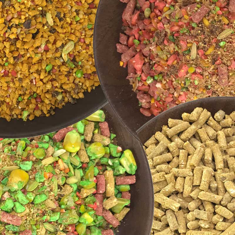 想要秋钓大鲫鱼,四个打窝技巧必不可少,渔获满