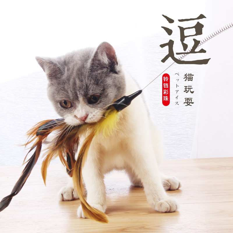 搞笑贴:关于猫咪的6个未解之谜,就第一个就很