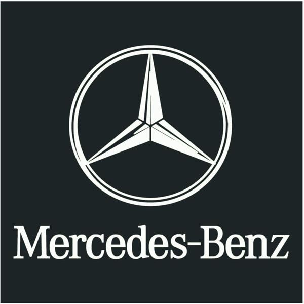 欺负老实人?奔驰女车主坐在引擎盖上哭诉,把文