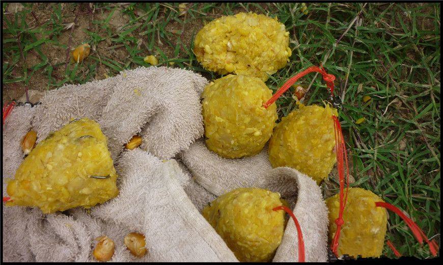 夏季江边夜钓用什么饵?秘制玉米面配方,可诱可