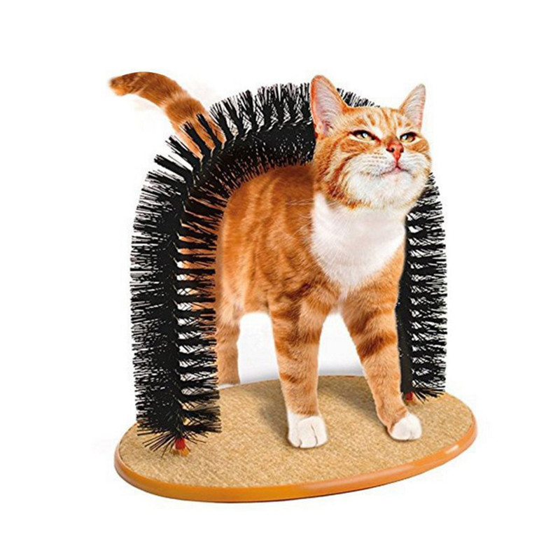 搞笑贴:关于猫咪的6个未解之谜,就第一个就很