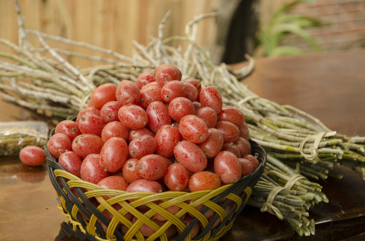 建议家里有空地,春天别栽菜,种这几棵果树,年年