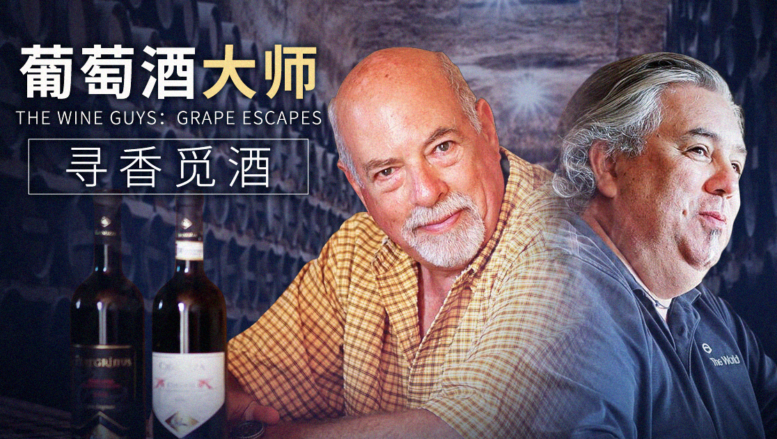 葡萄酒大师：寻香觅酒