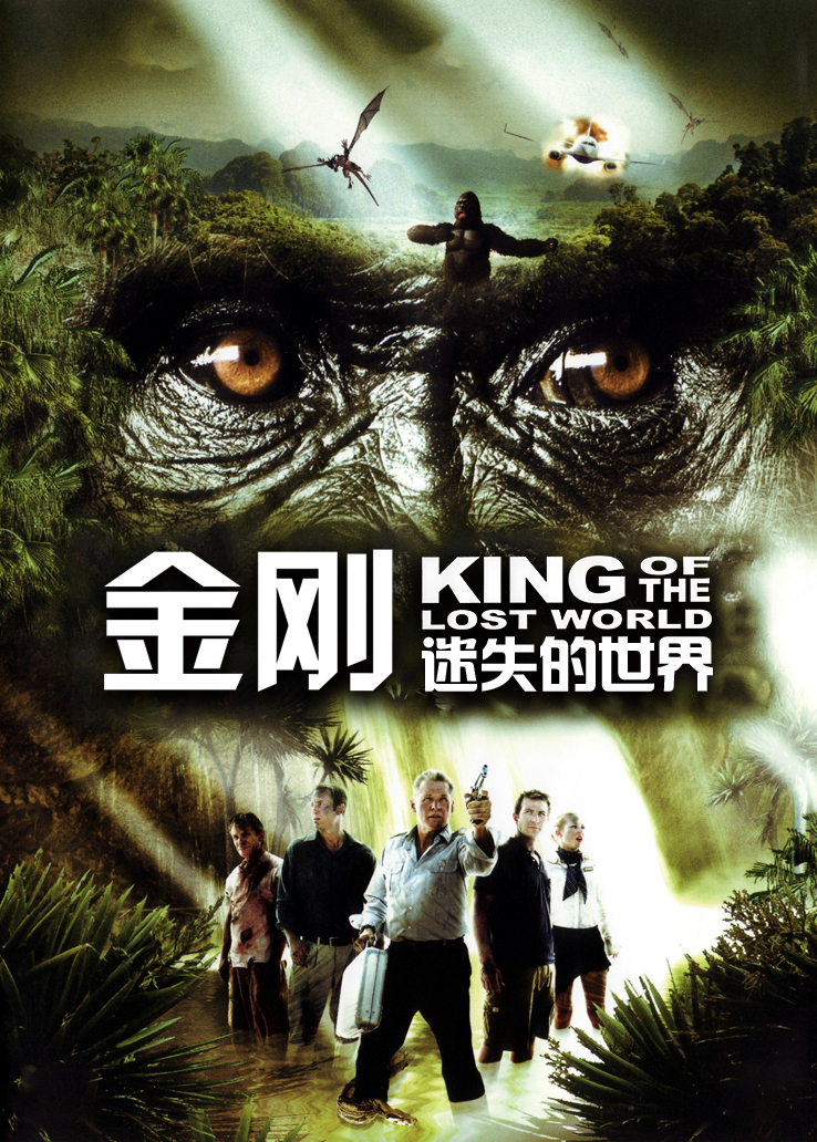 金刚：迷失的世界