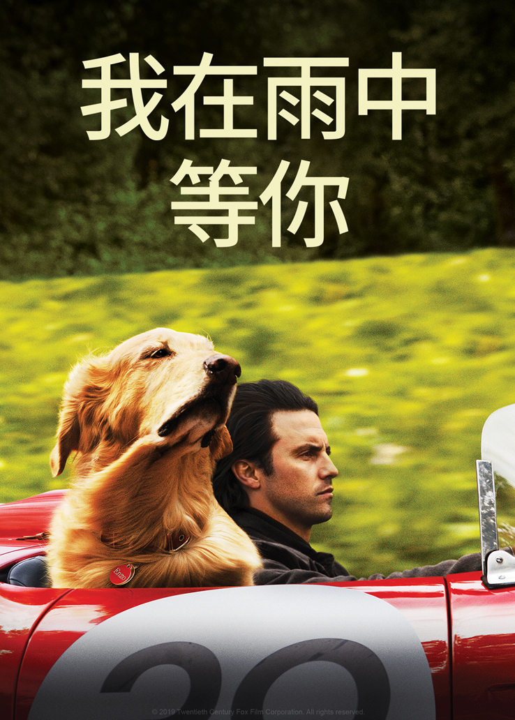 我在雨中等你