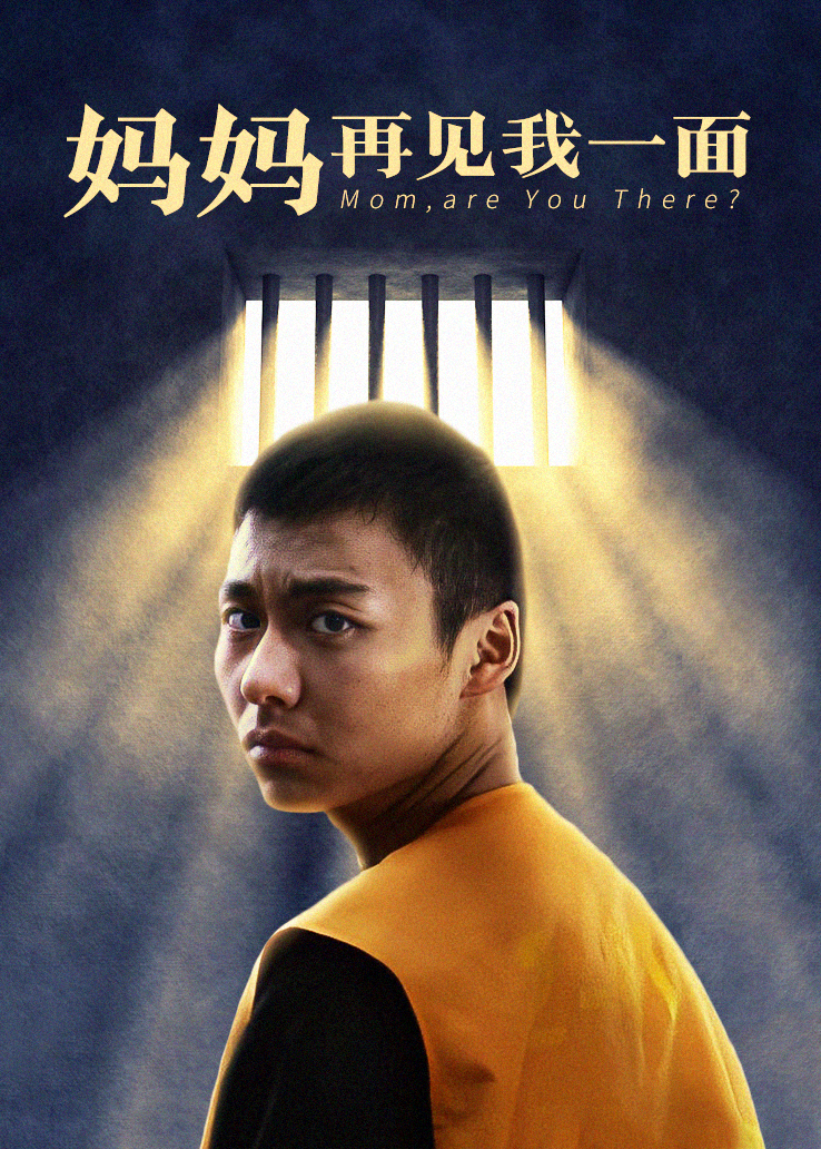 妈妈再见我一面