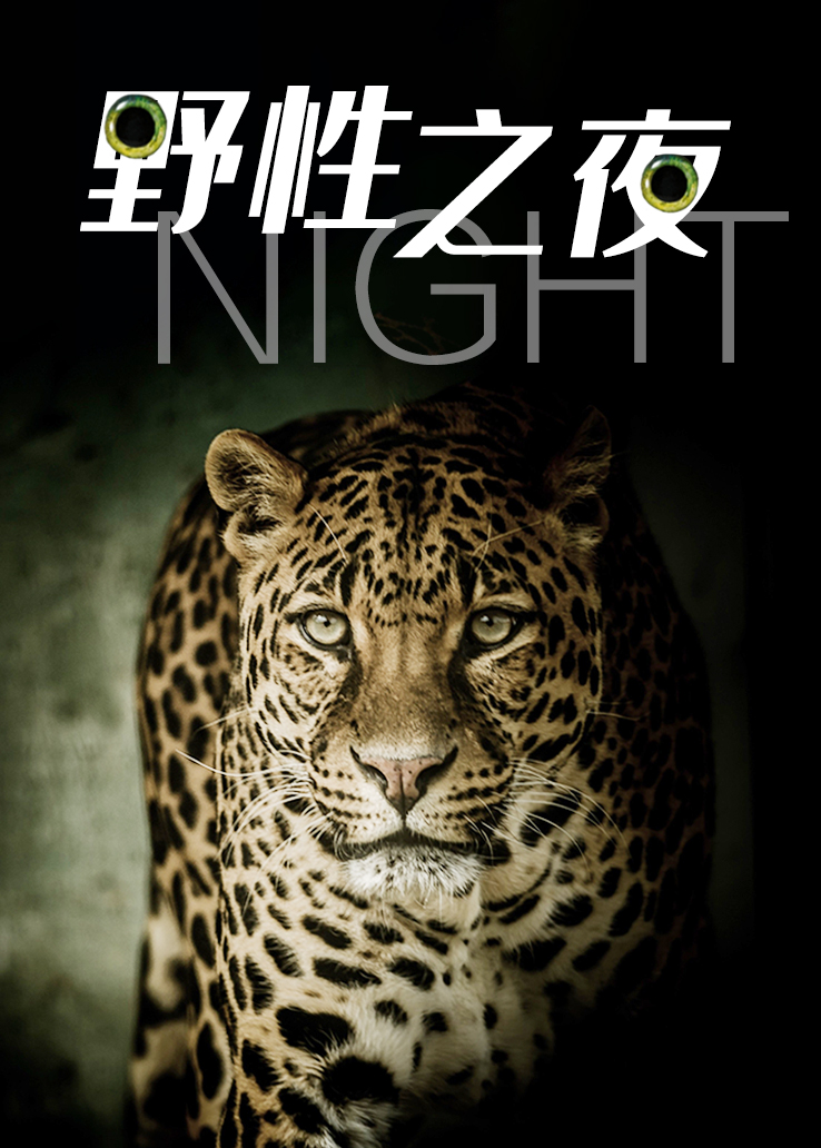 野性之夜