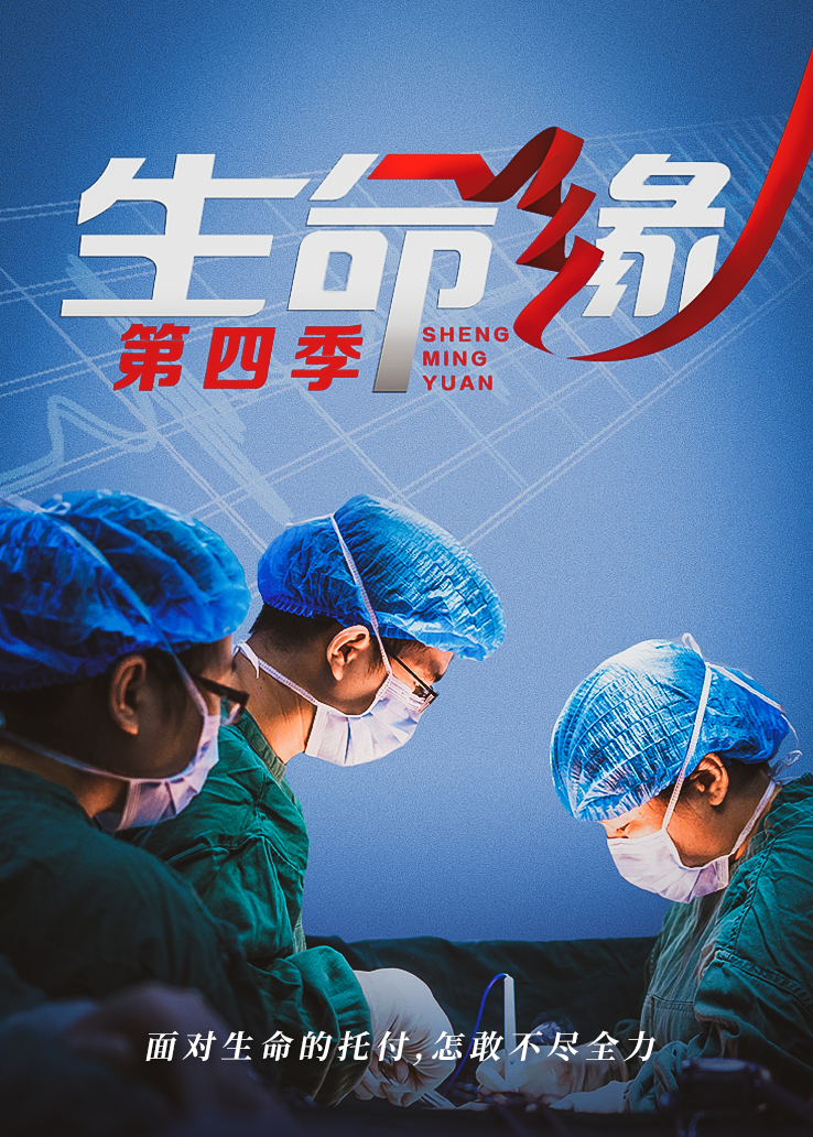 生命缘第四季