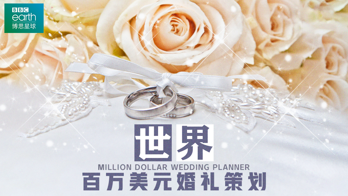 世界：百万美元婚礼策划