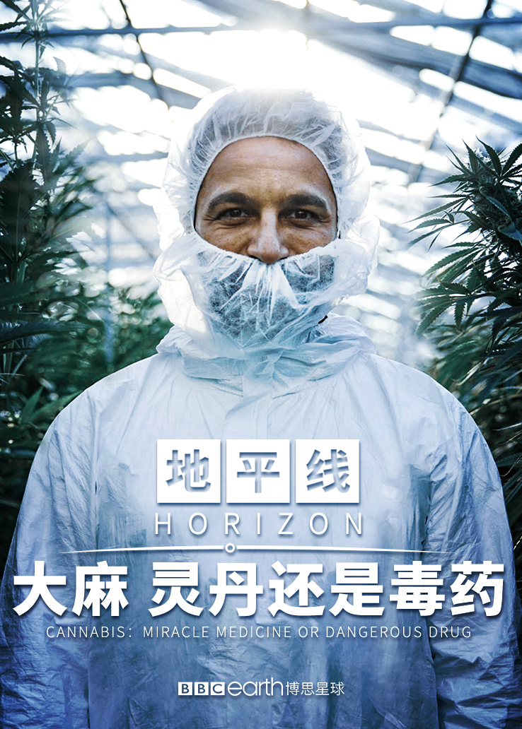 地平线：大麻灵丹还是毒药