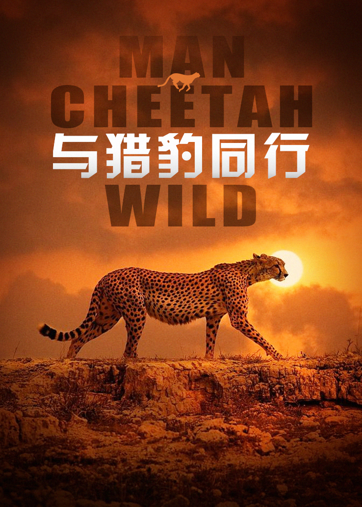 与猎豹同行