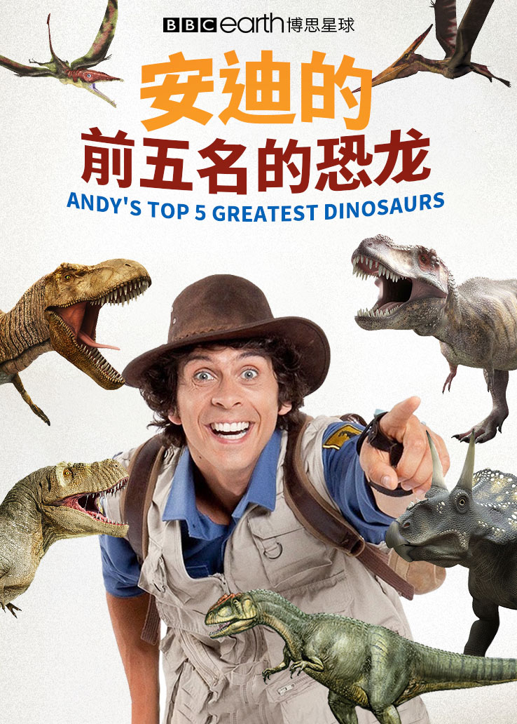 安迪的前五名的恐龙普通话版