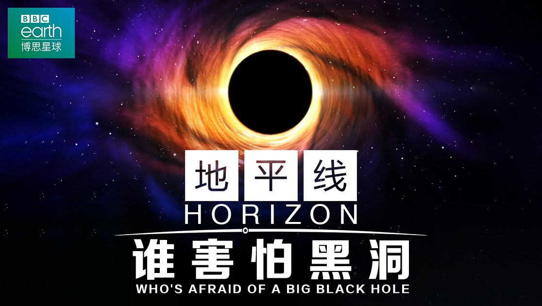 地平线：谁害怕黑洞