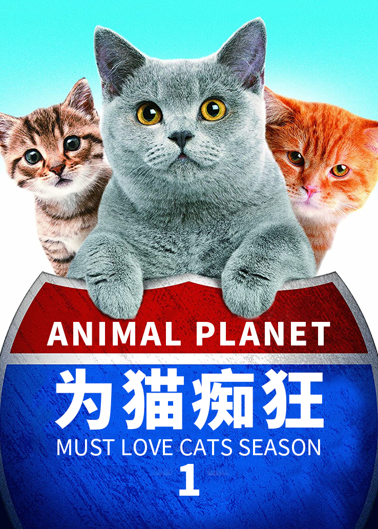 动物星球：为猫痴狂第一季
