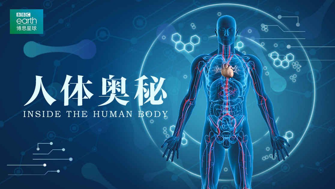《bbc:人体奥秘》西瓜影院手机免费观看-西瓜影视
