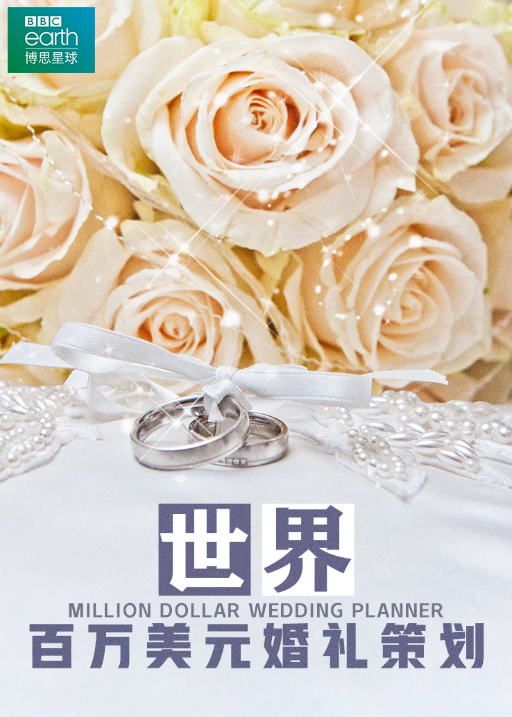 世界：百万美元婚礼策划