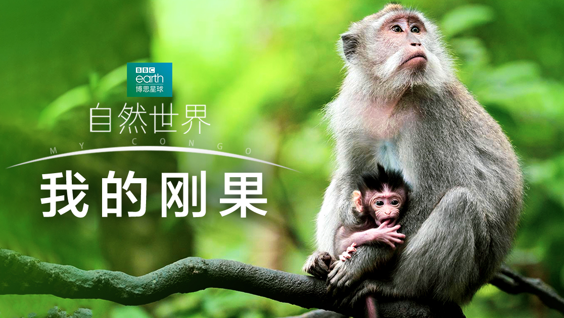 自然世界：我的刚果
