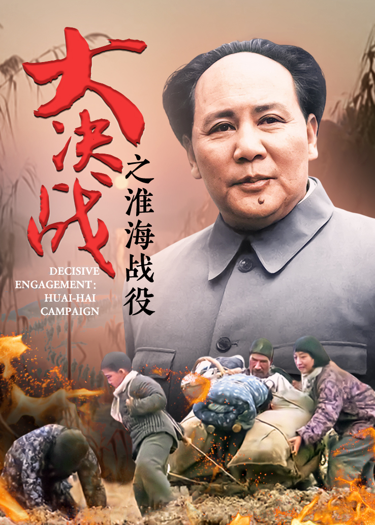 《大决战之淮海战役》高清完整版在线观看 - 战争片 - 小不点影视大全