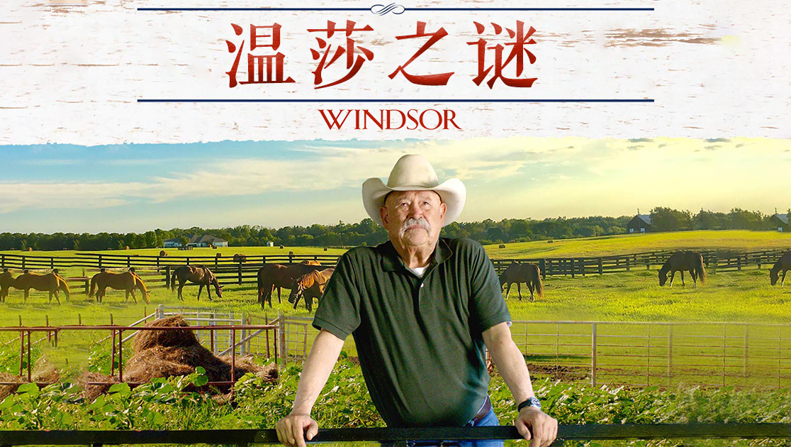 温莎之谜